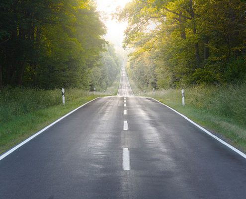 Empty Country Road Amidst Trees